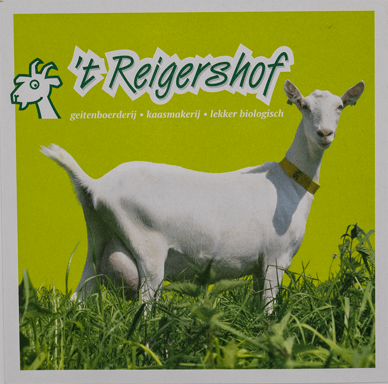 Reigershof folder NL